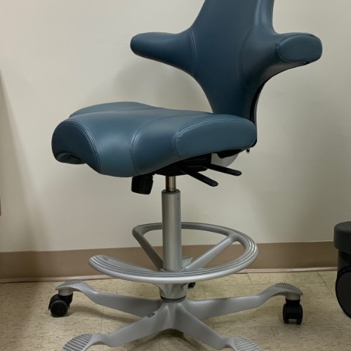 Ergonomic Task Chairs